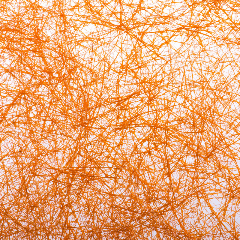 Structural & Cellular